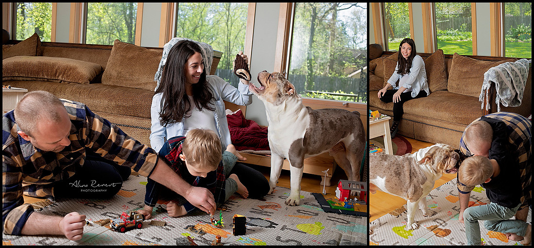 In-Home-Lifestyle-Maternity-Session-Chicago Photographer Alina Renert 