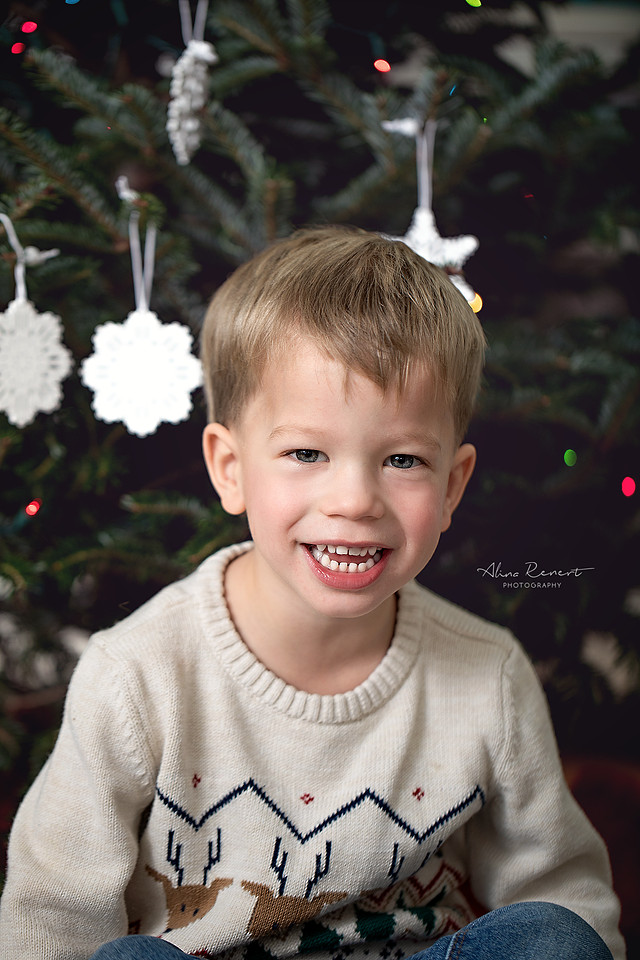 Cozy In-Home Holiday Tree Decorating Session | Lifestyle Family Photography with Alina Renert