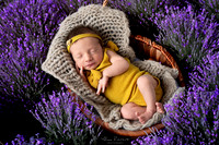 Chicago Twin Newborn Photographer Alina Renert - Winny & MJ-82 -2