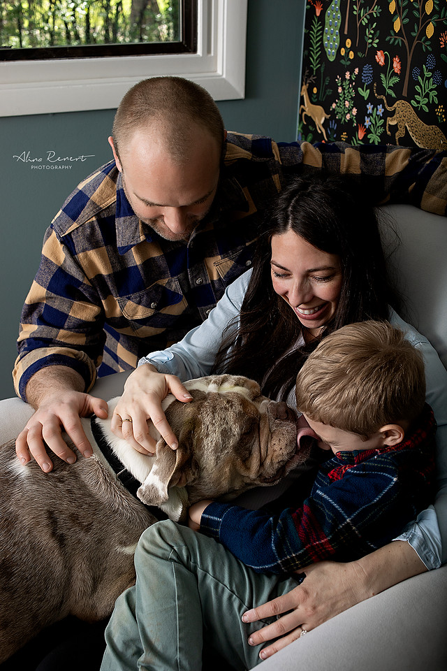In-Home-Lifestyle-Maternity-Session-Chicago Photographer Alina Renert 