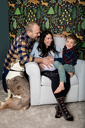 Chicago Lifetyle Family Portraits with Alina Renert Photography - Rosenberg-61 copy 2