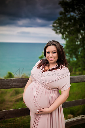 Chicago Maternity Photographer Alina Renert