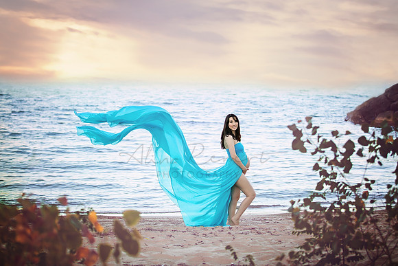 Chicago Maternity Photographer Alina Renert