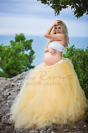 Chicago, IL - Maternity Photography with Alina Renert Photography