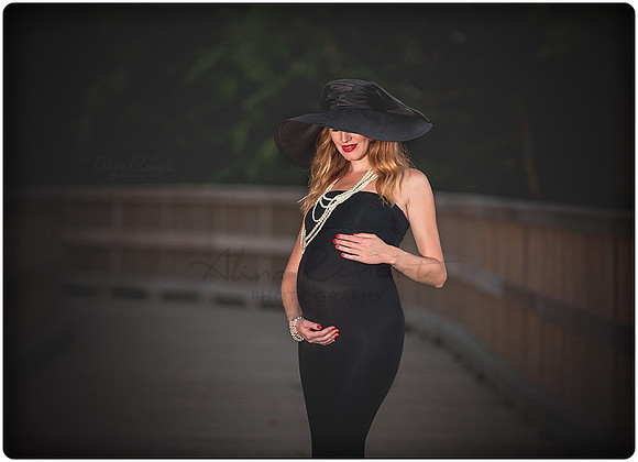Chicago Maternity Photographer Alina Renert