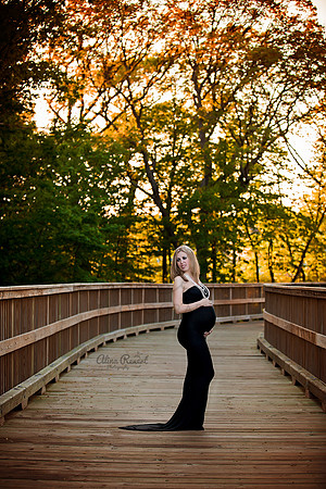 Chicago Maternity Photographer Alina Renert