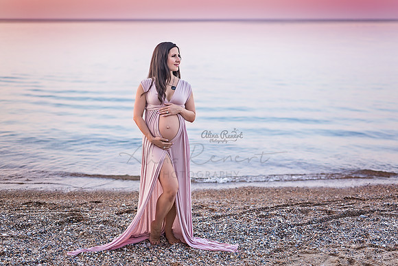 Chicago Maternity Photographer Alina Renert
