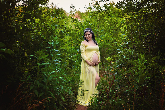 Chicago Maternity Photographer Alina Renert