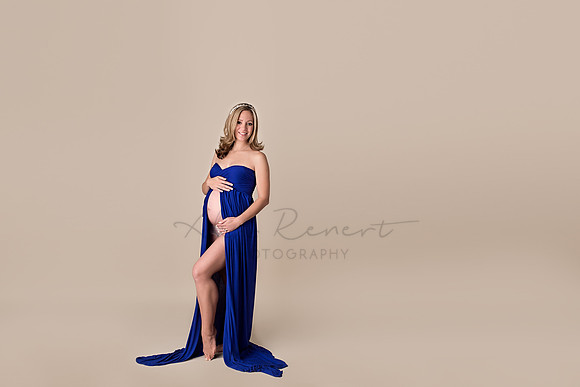 Chicago Maternity Photographer Alina Renert