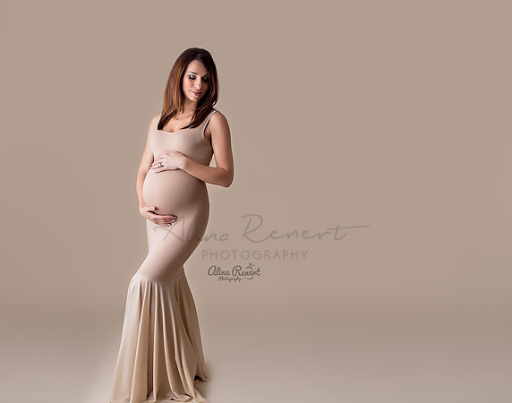 Chicago Maternity Photographer Alina Renert