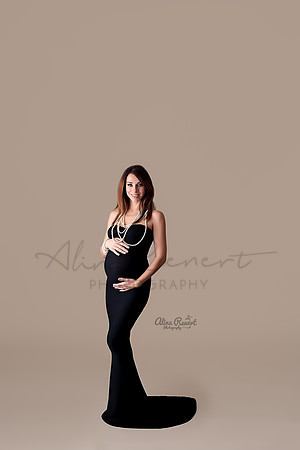 Chicago Maternity Photographer Alina Renert