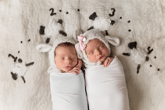 Chicago Twin Newborn Session - Alina Renert Photography