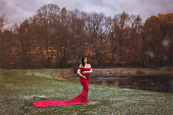 Chicago Maternity Photographer - Alina Renert - Araseli -1.