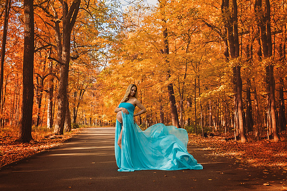 Chicago Hybrid Maternity Photographer - Alina Renert - Brittany-1