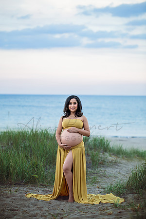 Chicago Maternity Session - Jayeeta - Alina Renert Photography -67 copy