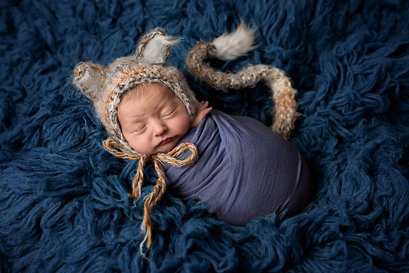 Chicago Studio Newborn Photographer Alina Renert