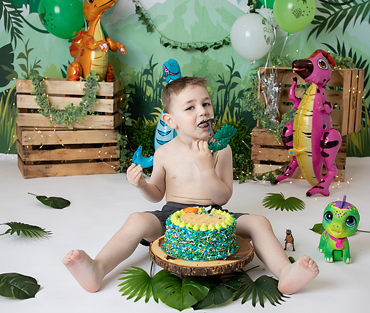 Chicago Themed Cake Smash Photographer Alina Renert - Sasha 3REX-24 copy