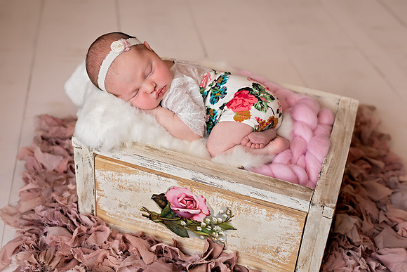 Chicago Newborn Photographer Alina Renert - Camila-1
