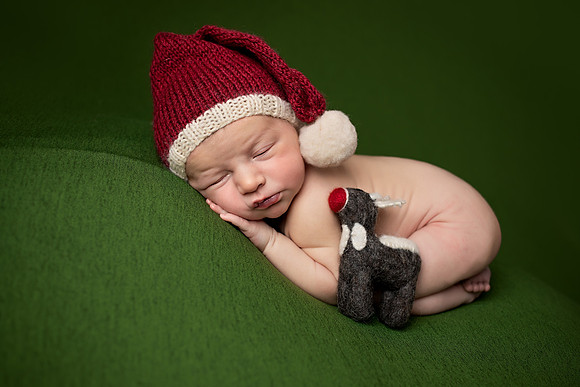 Chicago Studio Newborn Photographer - Alina Renert-1
