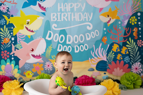 Chicago Studio Cake Smash & Bath Baby Milestone Photographer Alina Renert - Sasha-39 copy