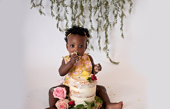 Chicago Family Hybrid Baby Milestone Cake Smash Session with Alina Renert Photography - Eden-72 copy