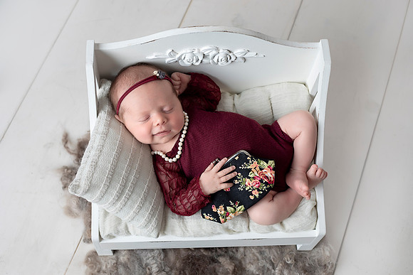 Chicago Newborn Photographer Alina Renert - Olivia -107 copy