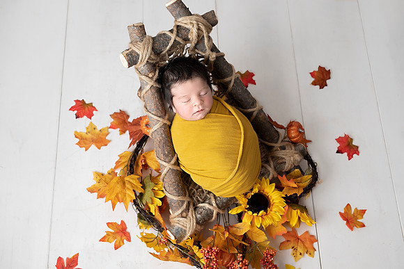 Chicago Newborn Photographer Alina Renert - Max-78 copy