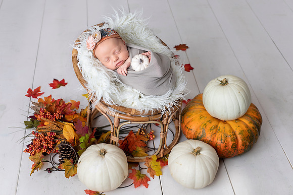 Chicago Newborn Photographer Alina Renert - Lexi-88 copy