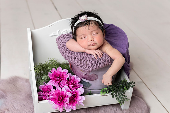 Chicago Studio Newborn Photographer Alina Renert  Amaya-23 copy