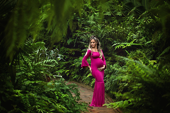 Chicago Maternity Family Photographer Alina Renert - Jenny -1