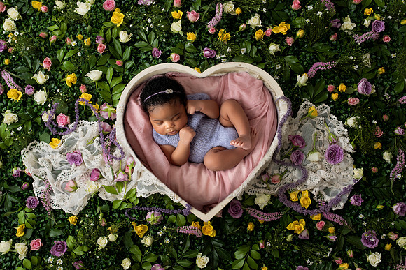 Chicago Newborn Photographer Alina Renert - Ellie-51 copy