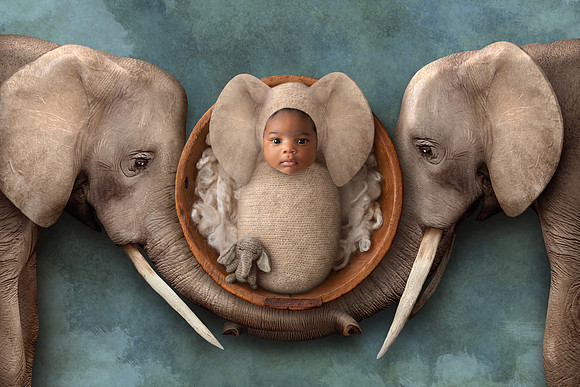 Chicago Newborn Photographer Alina Renert - Ellie-22