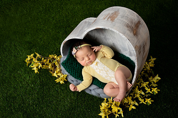 Chicago Newborn Family Photographer Alina Renet - Gianna-2