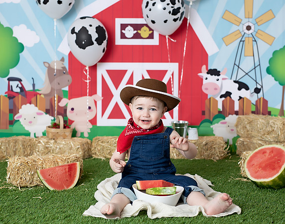Old McDonald Baby Watermelon Smash Theme with Alina Renert Photography - Sasha-20 copy