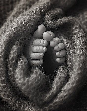 Chicago Newborn Photographer Alina Renert