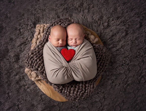 Chicago Twin Newborns Session - Alina Renert Photography