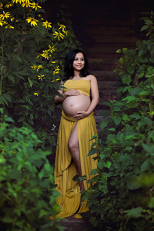 Chicago Maternity Photographer Alina Renert Photography